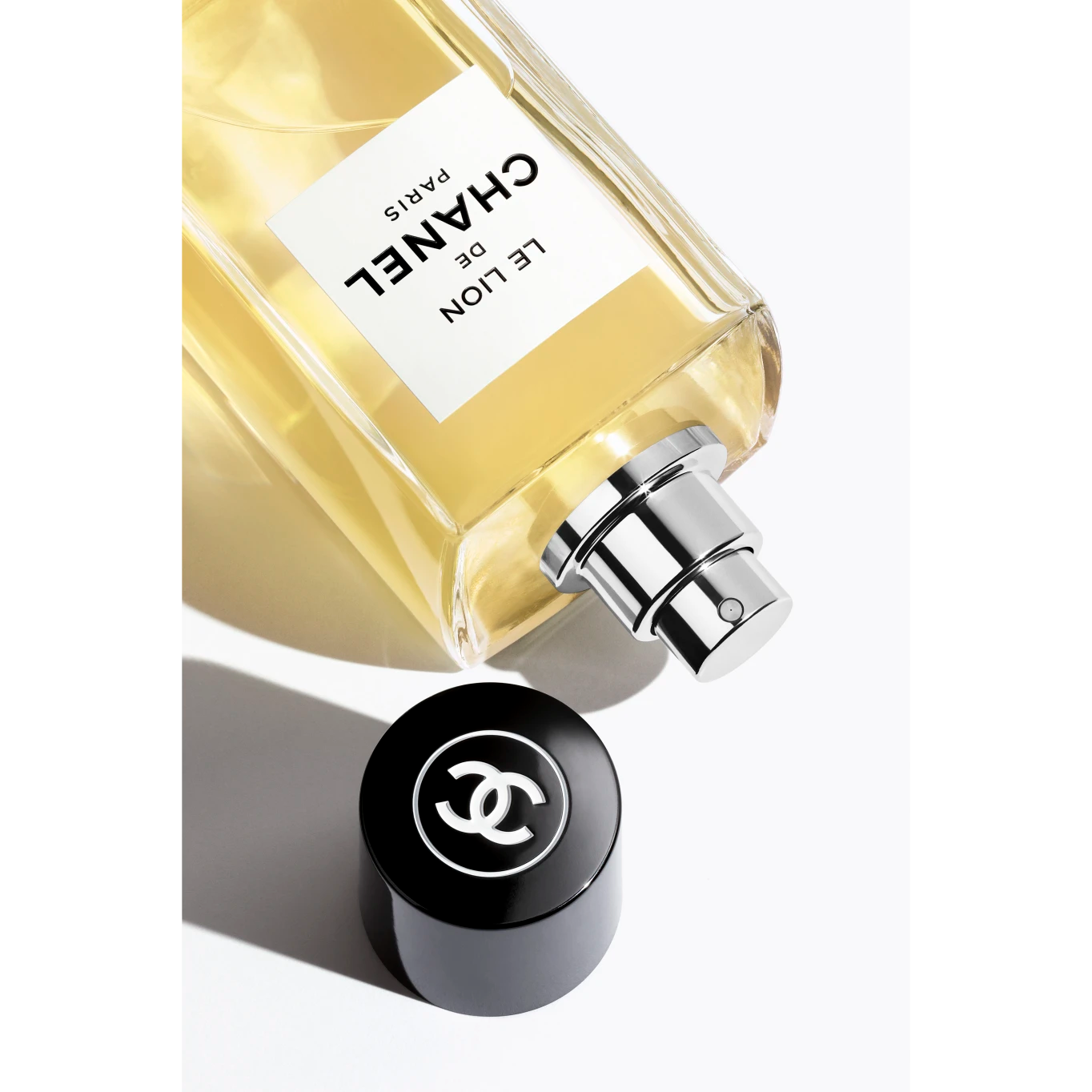 LE LION DE CHANEL
LES EXCLUSIFS DE CHANEL