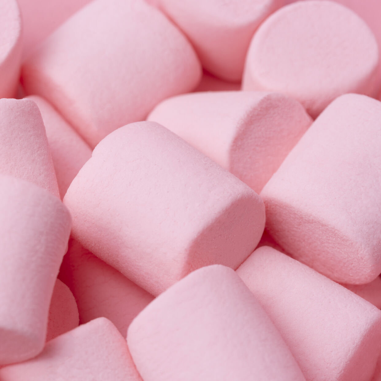 Yum Boujee Marshmallow | 81 Eau de Parfum Intense