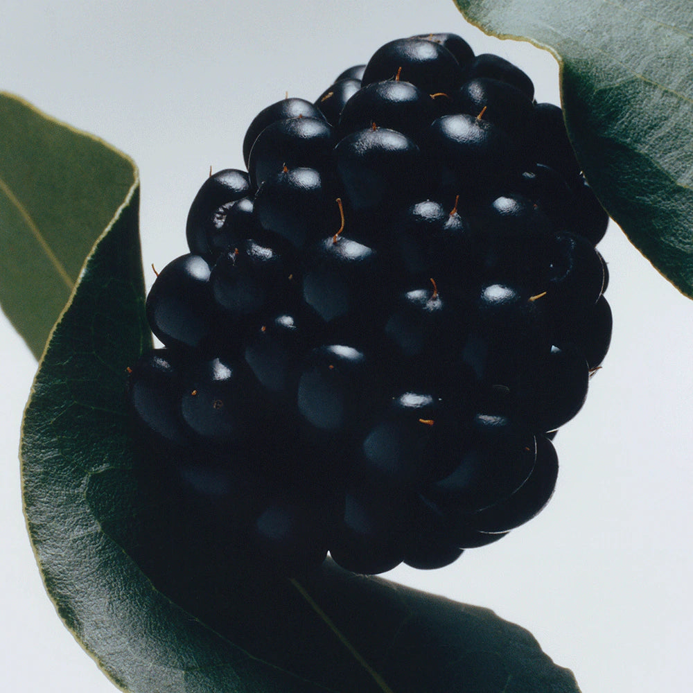Jo Malone Blackberry & Bay Cologne