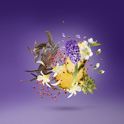 Xerjoff Purple Accento